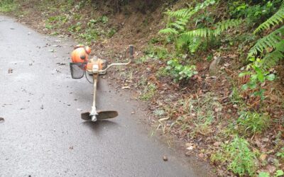 El Ayuntamiento ejecuta la limpieza y acondicionamiento de las pistas agrícolas